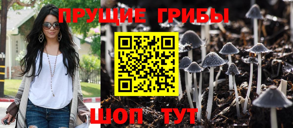 Галлюциногенные грибы MAGIC MUSHROOMS  Вход с VPN  Десногорск 